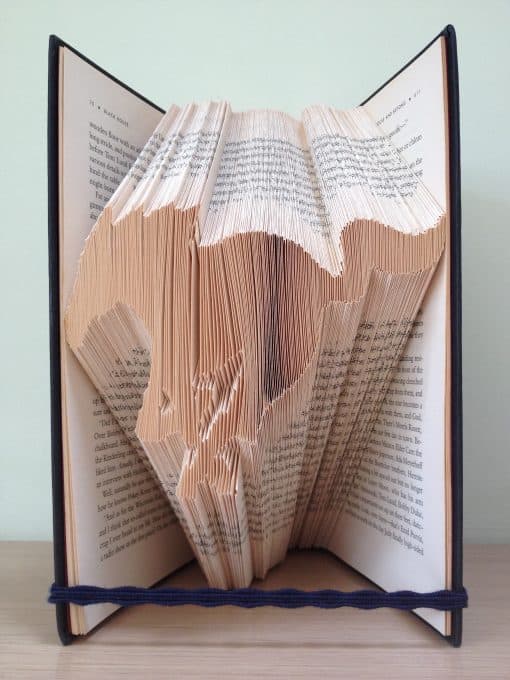 galloping horse finished book