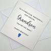 SS033 Special grandson youre the best birthday card above