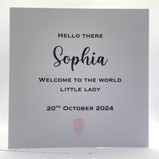 SS102 Hello there baby girls name front