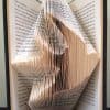Flying Swallow Finished Book