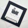 Cat Get Well Card Black Above